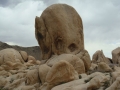 Joshua Tree NP